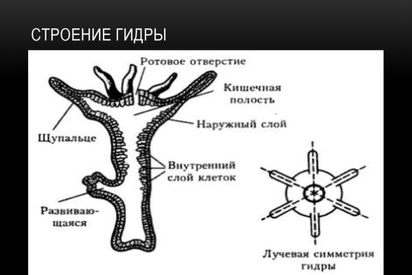Сайт krn