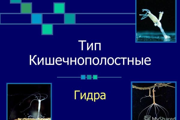 Почему сегодня не работает площадка кракен